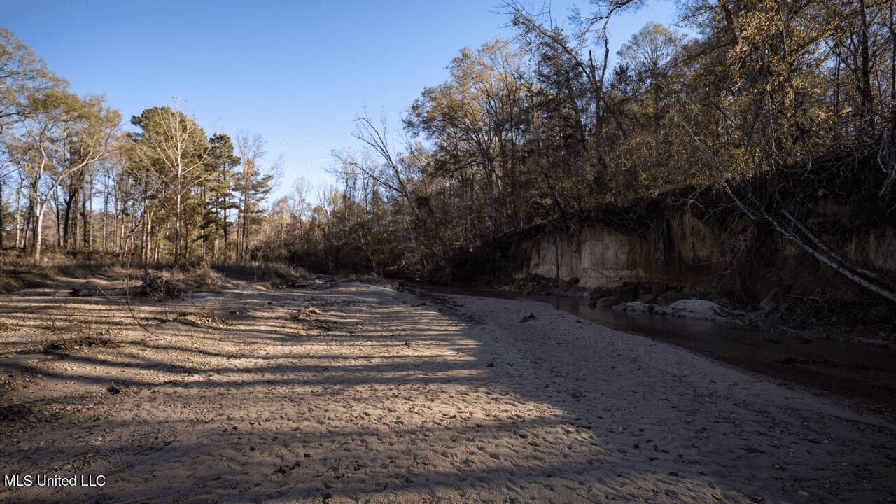84.5 Acres in Woodville, MS on Hwy 24 with Creeks