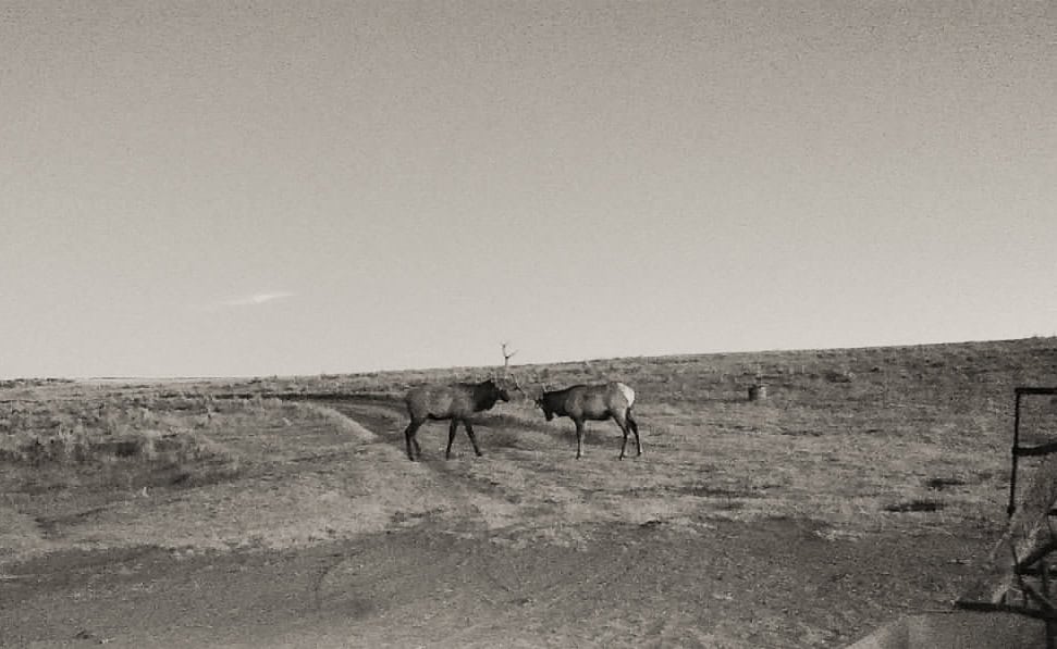 S Bar Ranch – 19,816± Acres North of Custer, Yellowstone County, Montana
