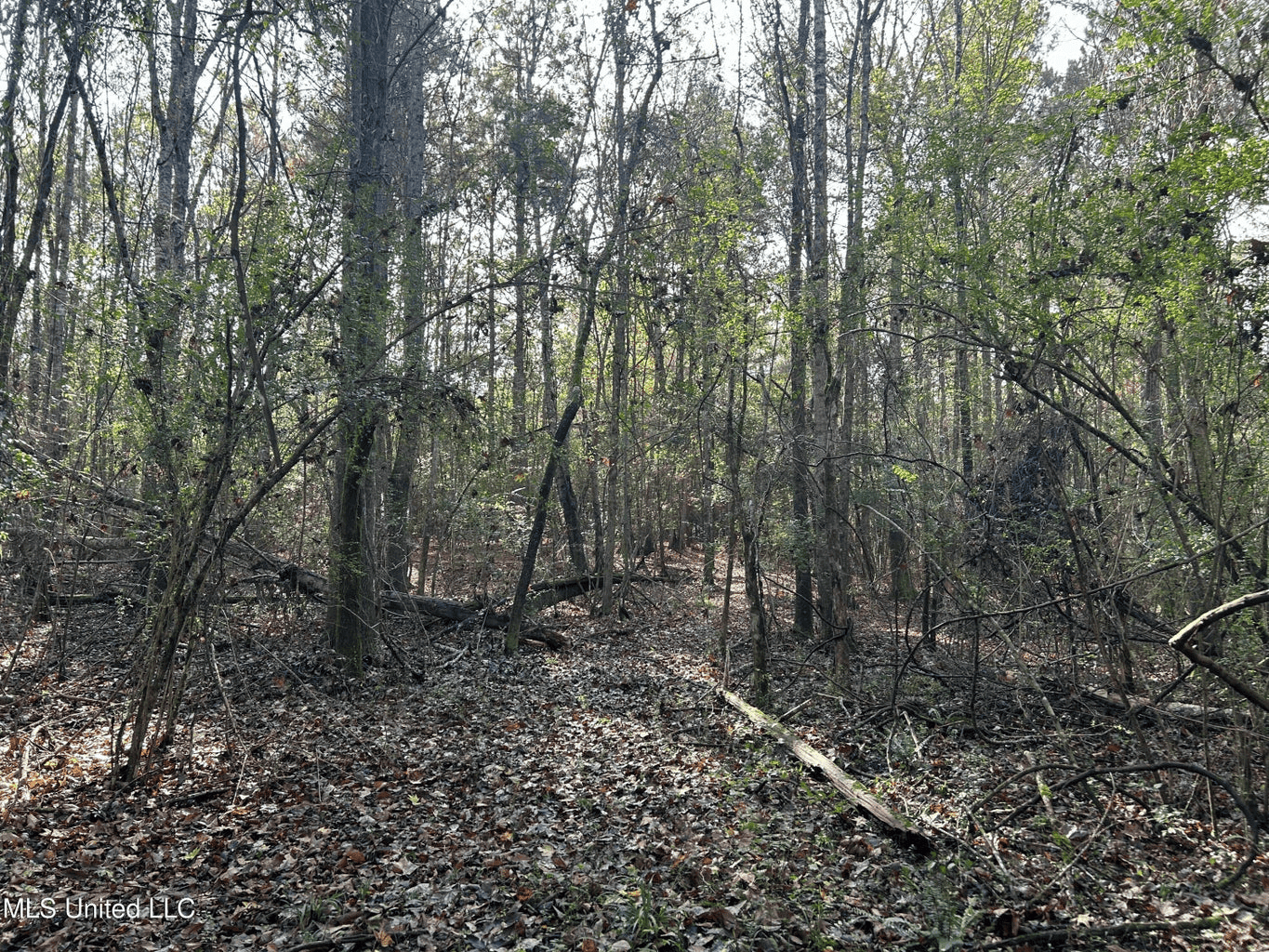 39.7 Acres in Brookhaven MS
