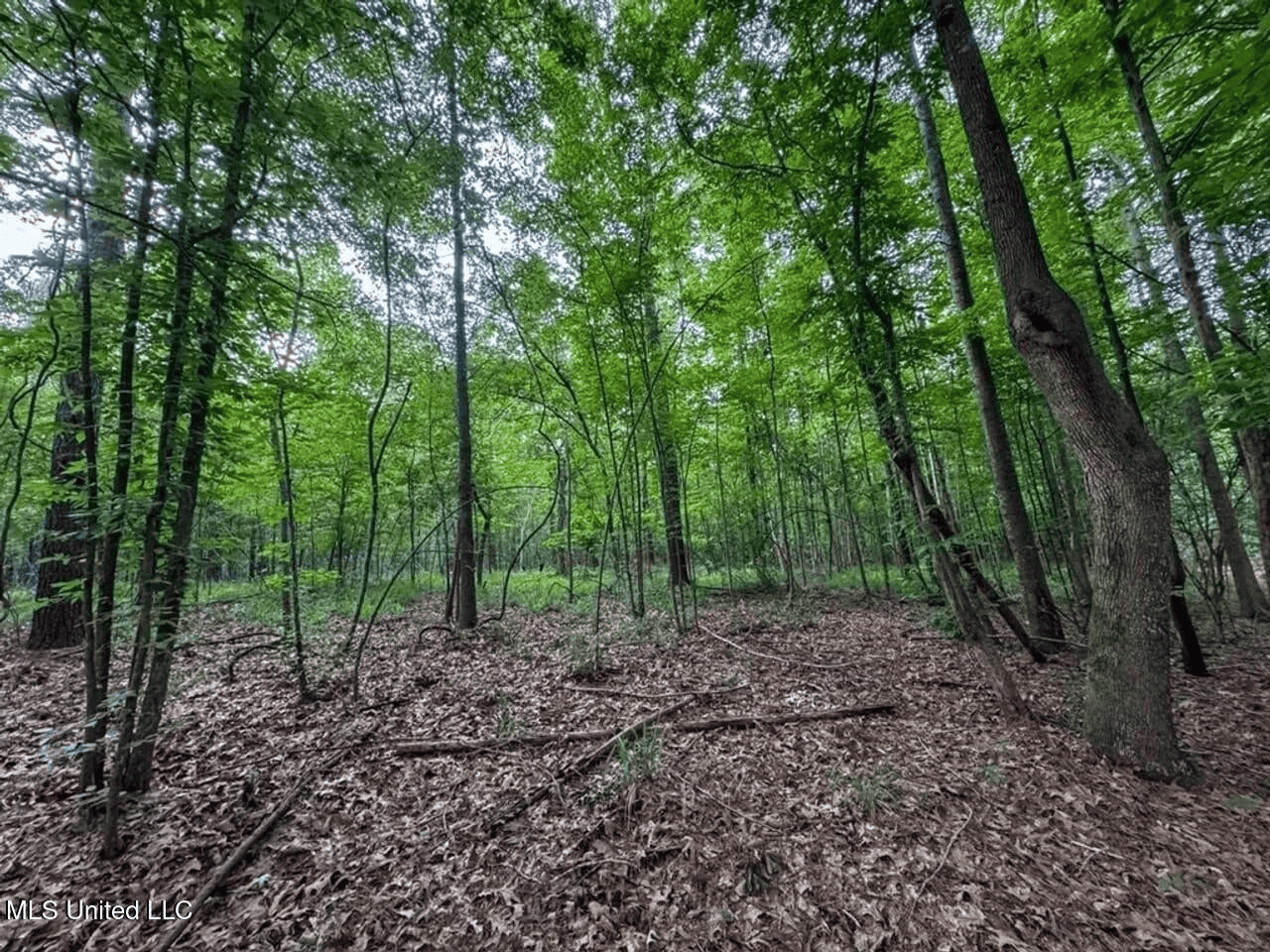 Roxie Mississippi – 94 Acre Recreational Retreat