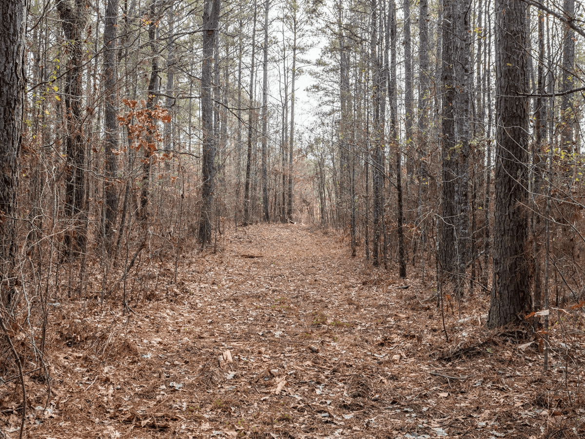 Timberland Farmland For Sale Clay County MS