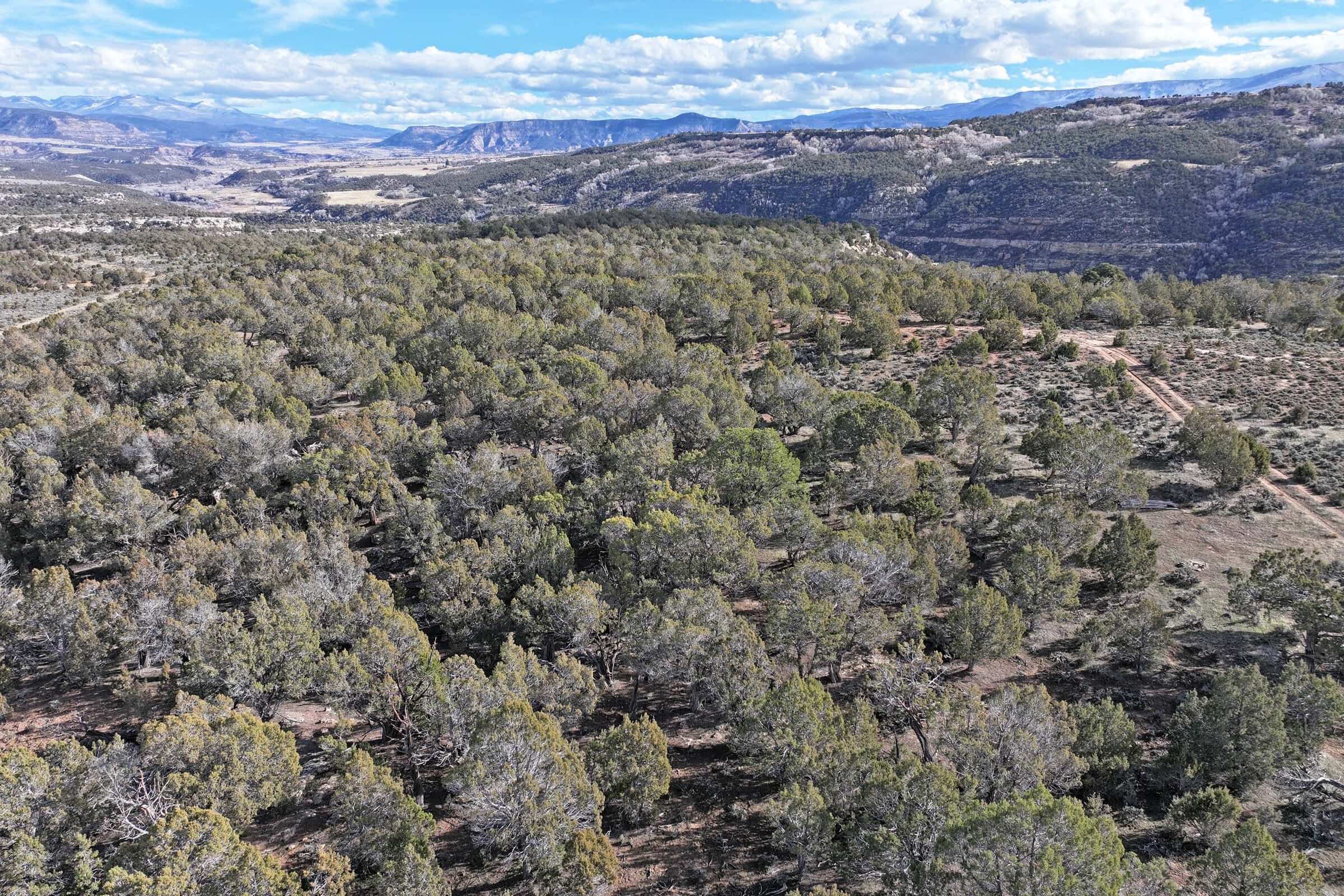 Vacant Hunting Land Borders BLM For Sale in Western Colorado