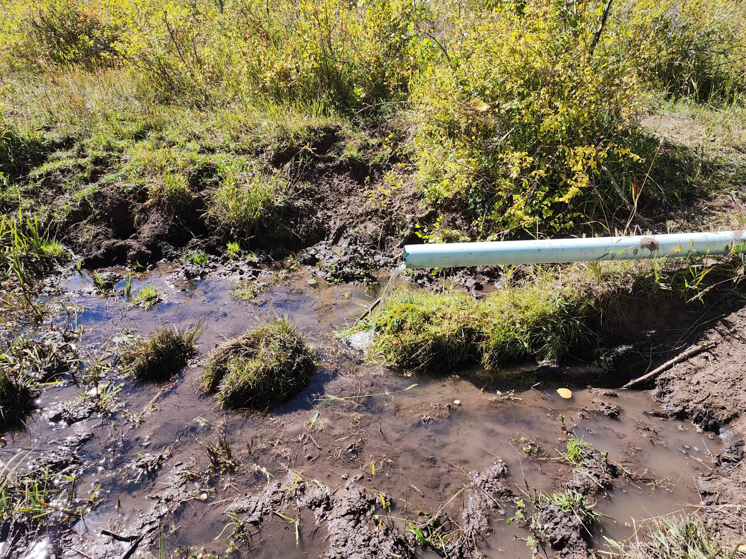 Colorado Hunting Property with Multiple Cabins