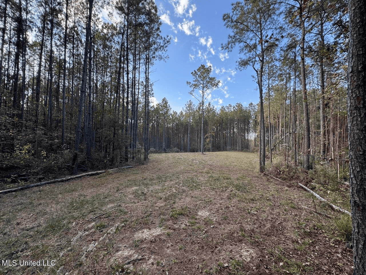 Wilkinson County 60-Acre Turn-Key Solar Hunting Camp