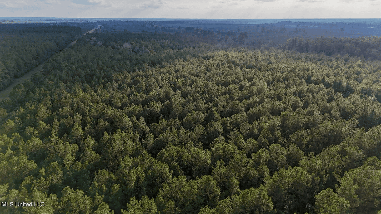 Prime Hunting Property in St Helena Parish, LA