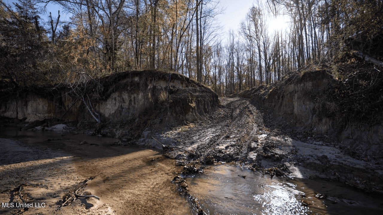 84.5 Acres in Woodville, MS on Hwy 24 with Creeks