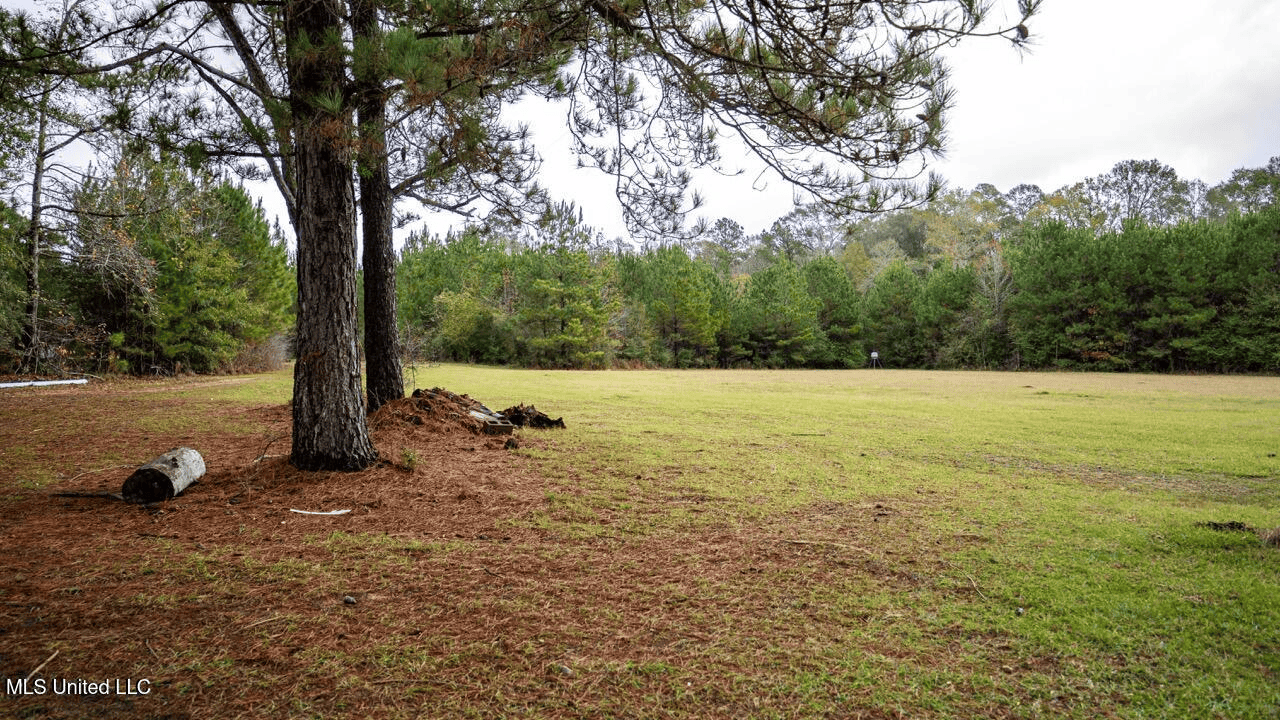 Asilo Farms on Bala Chitto Creek, Southwest Mississippi