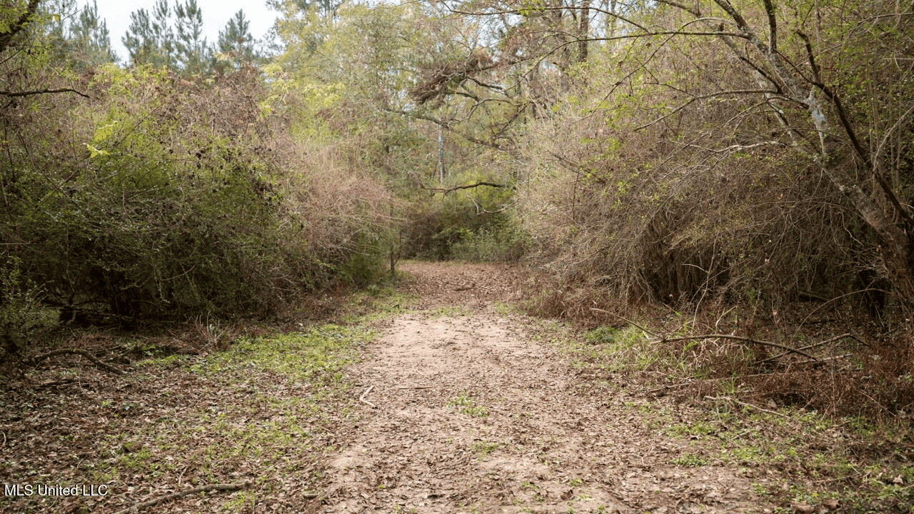 283± Acres for Sale Amite County, Mississippi