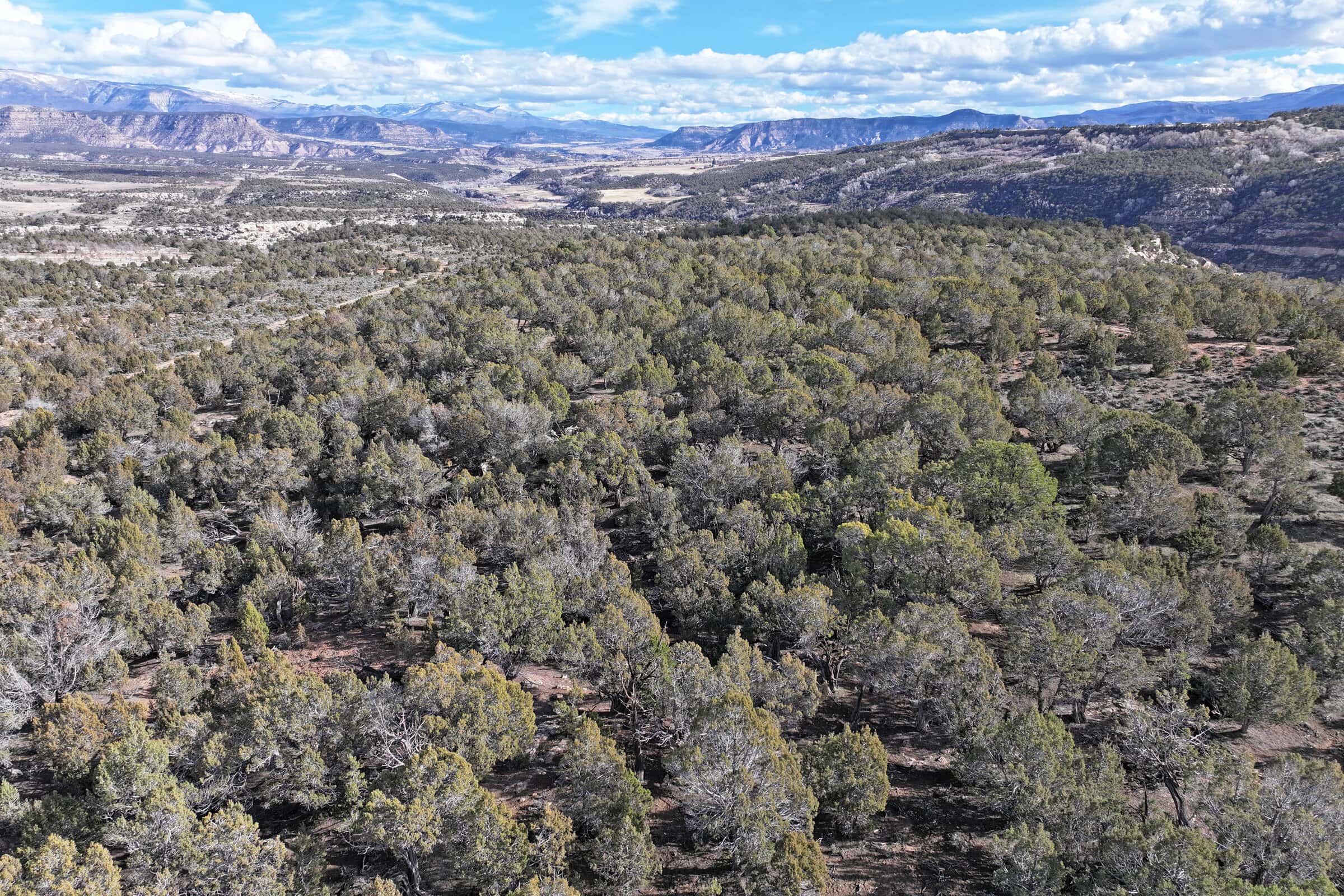 Vacant Hunting Land Borders BLM For Sale in Western Colorado