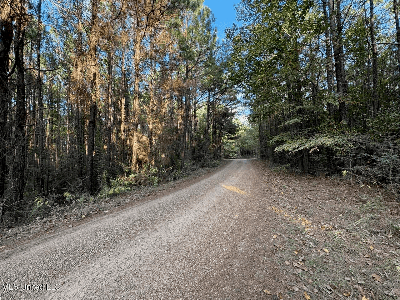 Wilkinson County 60-Acre Turn-Key Solar Hunting Camp