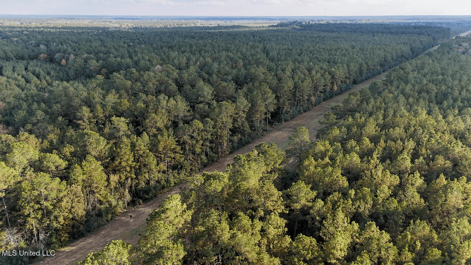 Prime Hunting Property in St Helena Parish, LA