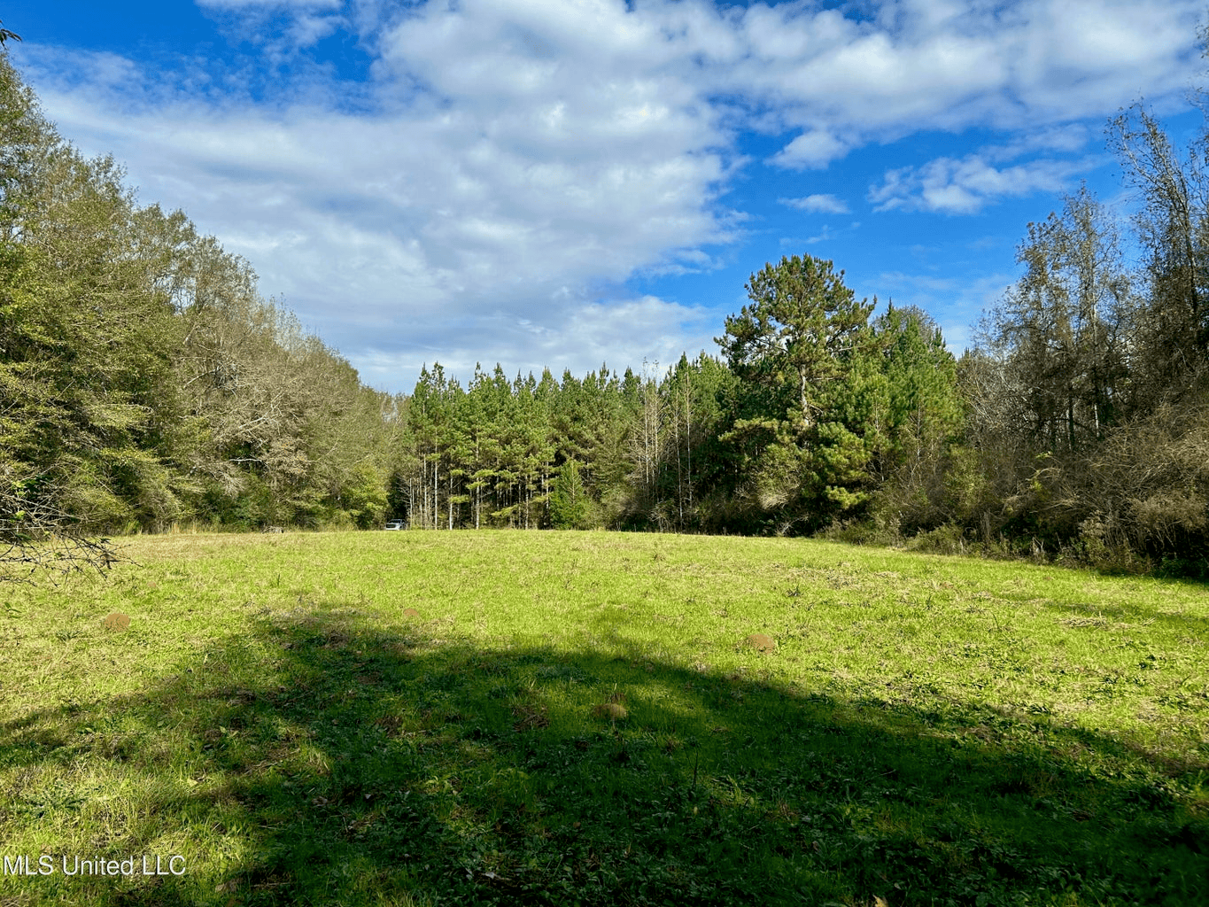 39.7 Acres in Brookhaven MS