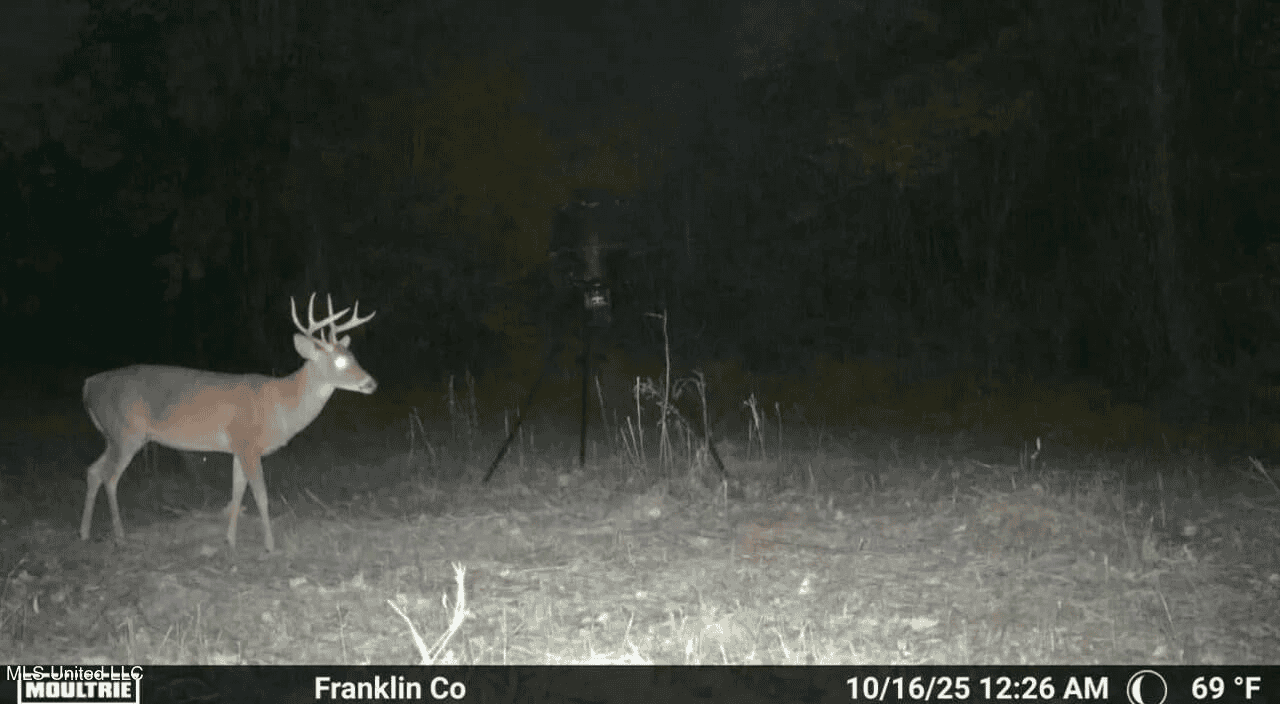 Roxie Mississippi – 94 Acre Recreational Retreat