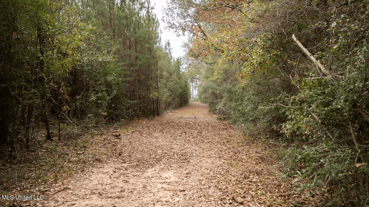 283± Acres for Sale Amite County, Mississippi