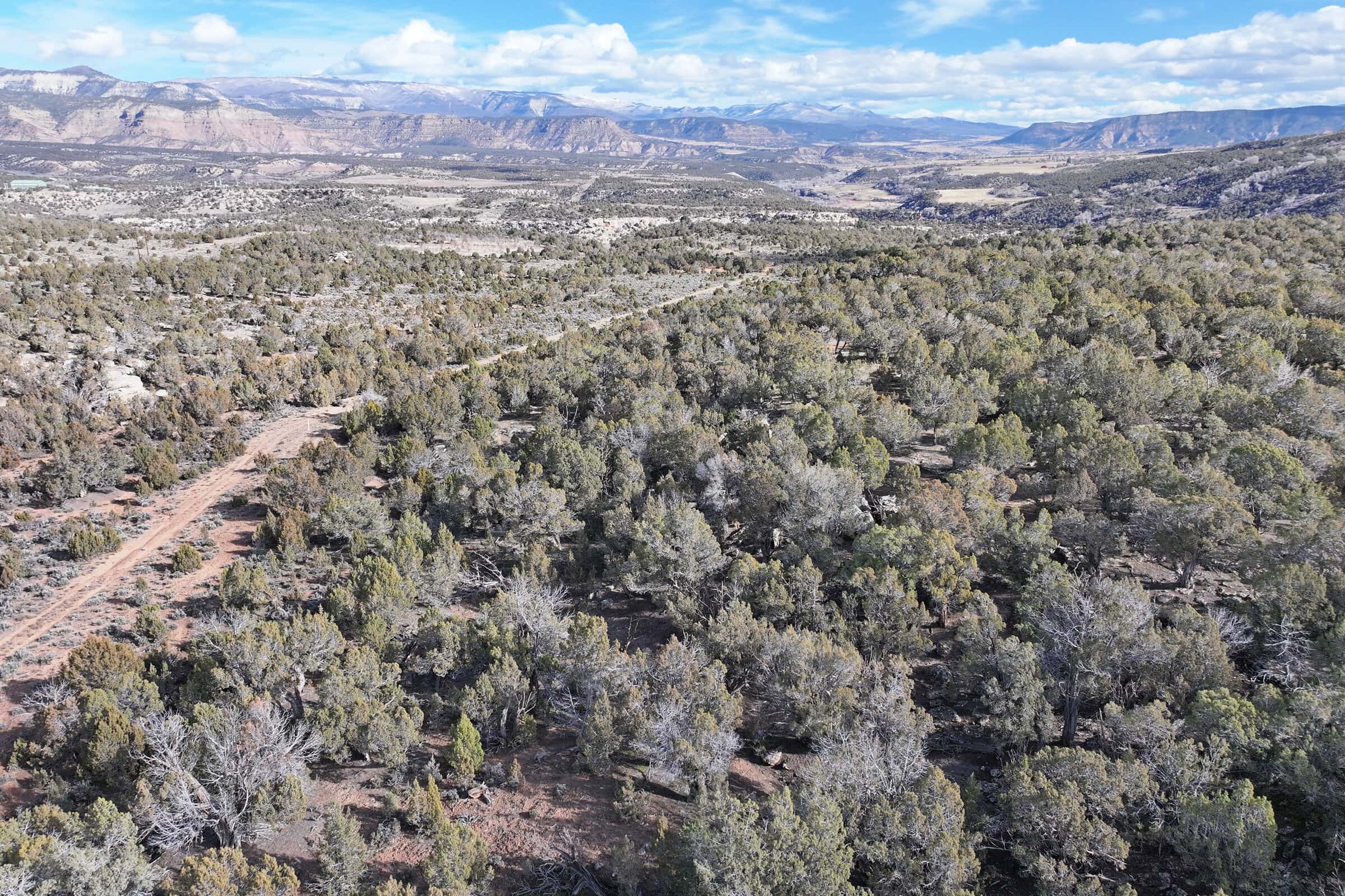 Vacant Hunting Land Borders BLM For Sale in Western Colorado