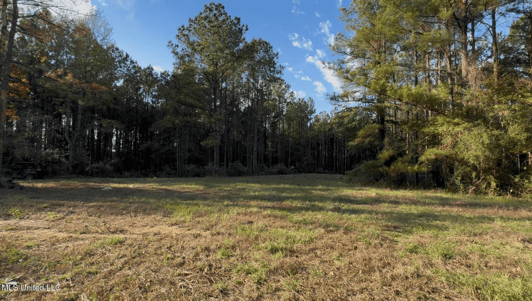Wilkinson County 60-Acre Turn-Key Solar Hunting Camp