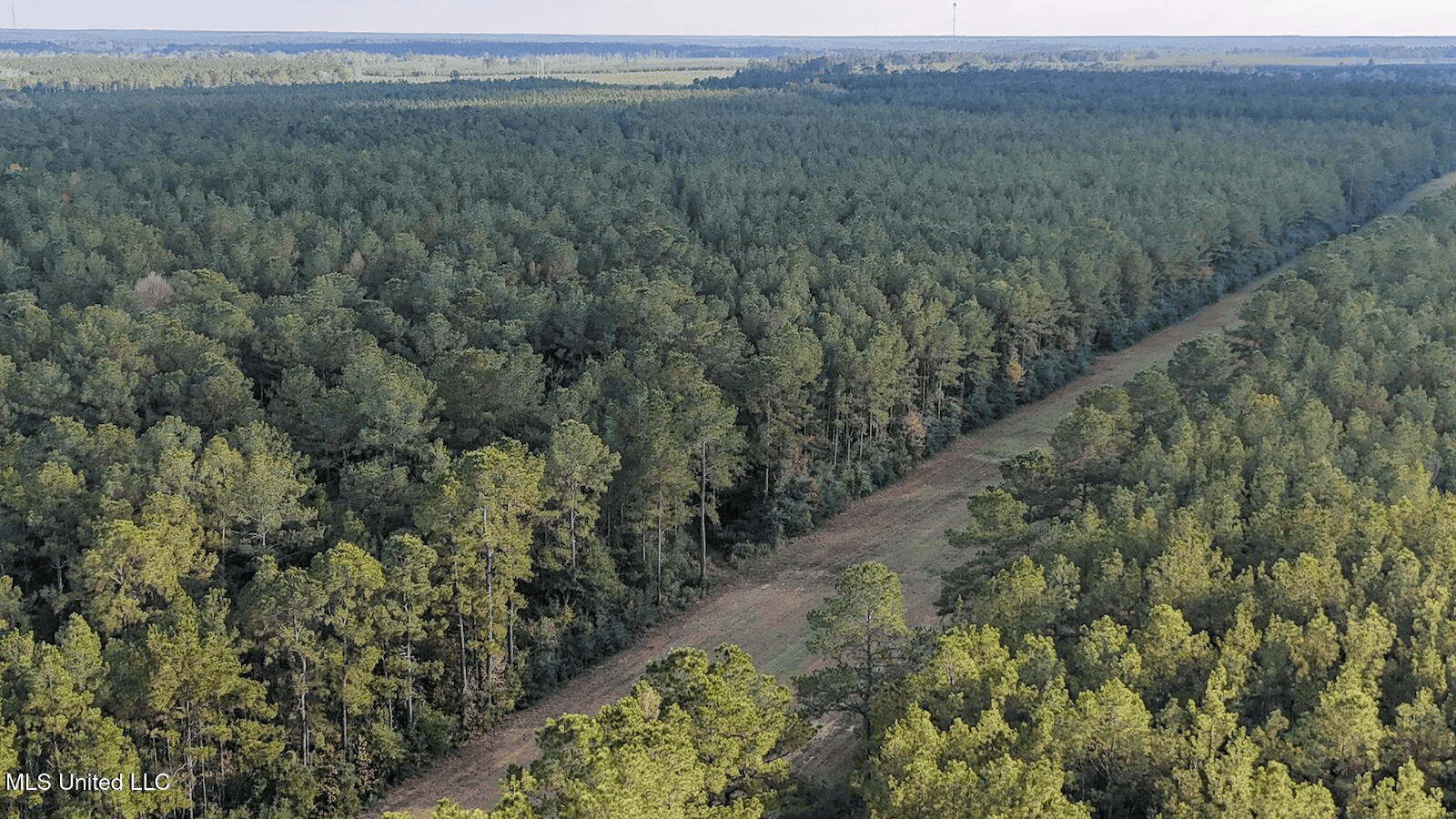 Prime Hunting Property in St Helena Parish, LA