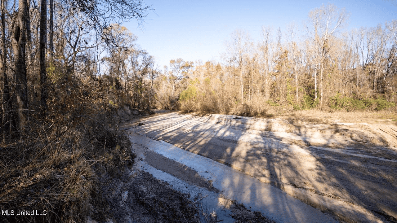 84.5 Acres in Woodville, MS on Hwy 24 with Creeks