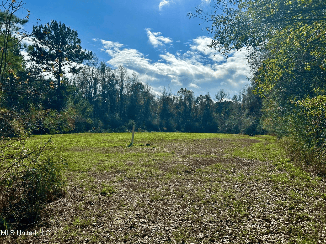 39.7 Acres in Brookhaven MS