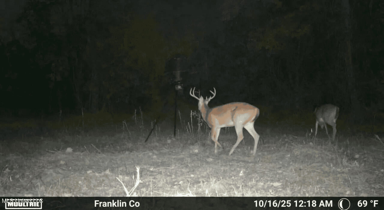 Roxie Mississippi – 94 Acre Recreational Retreat