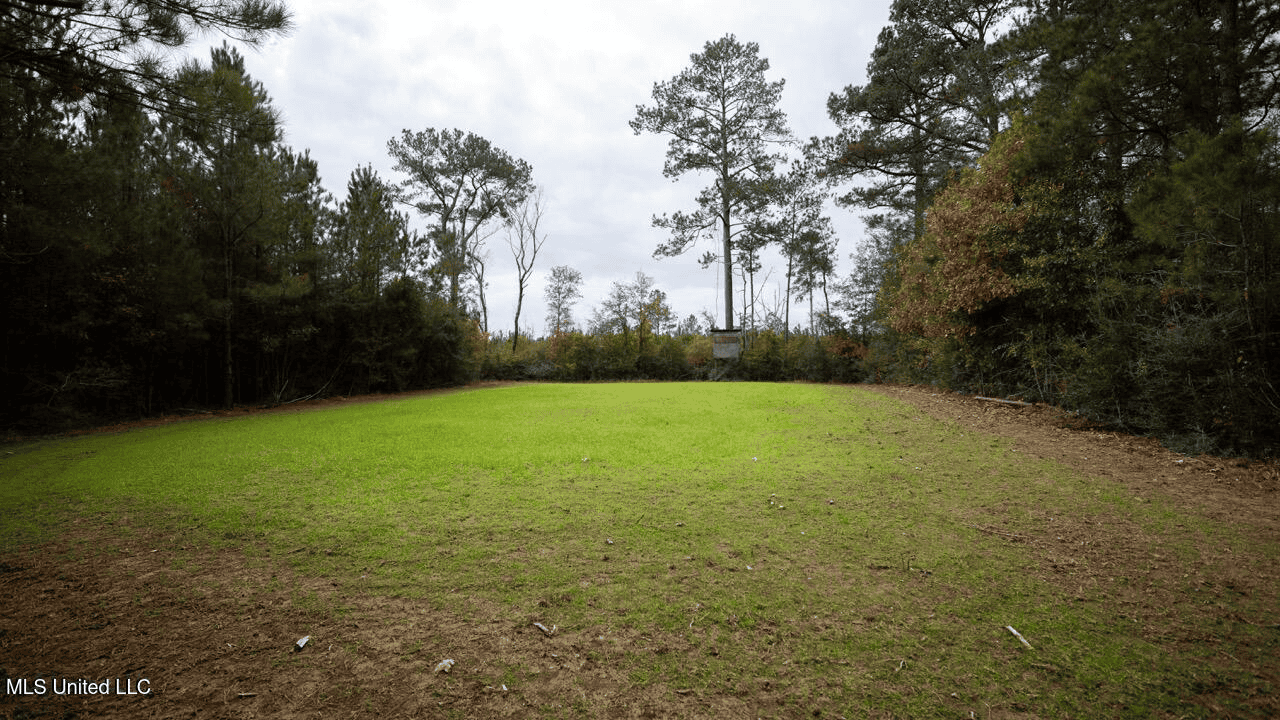 283± Acres for Sale Amite County, Mississippi