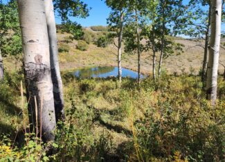 Colorado Hunting Property with Multiple Cabins