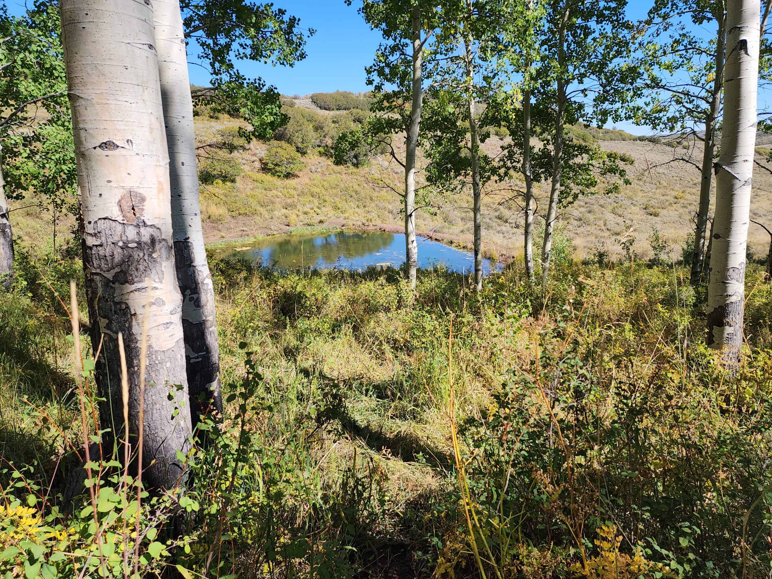 Colorado Hunting Property with Multiple Cabins