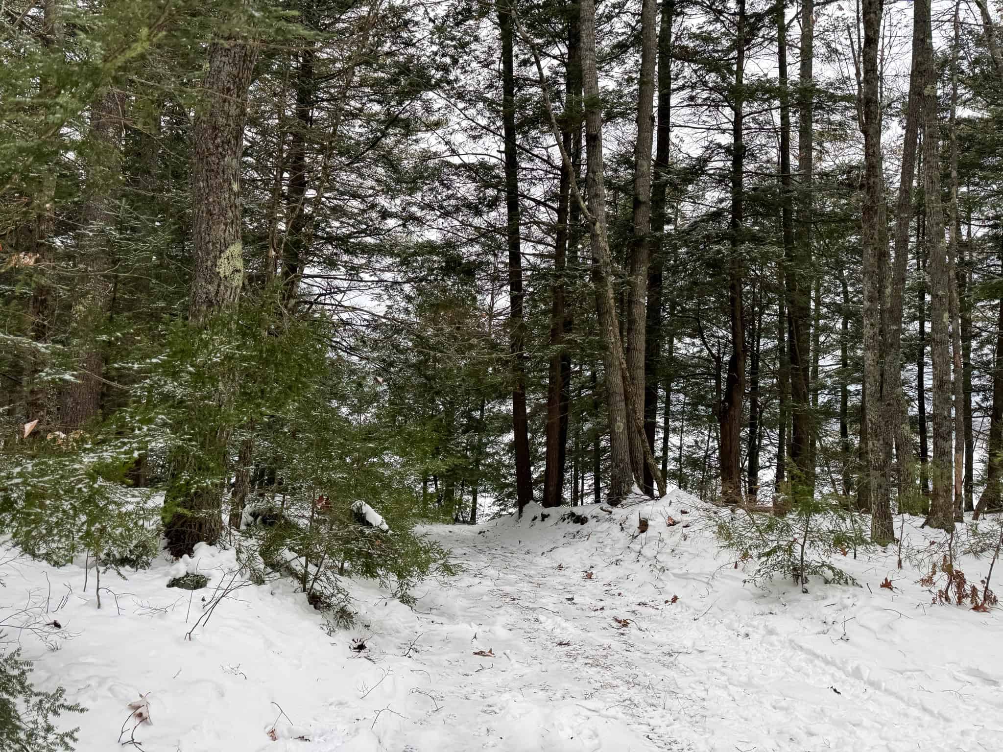 33.4 Acres with Private Pond – Pittston, ME