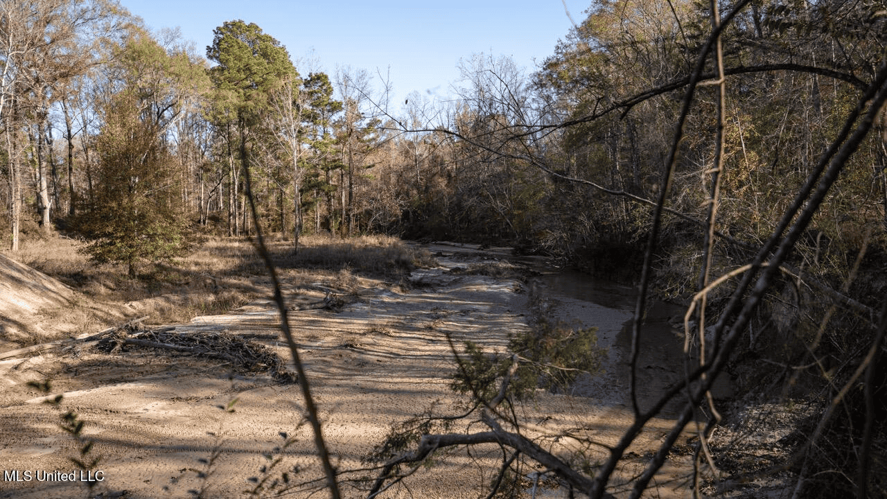 84.5 Acres in Woodville, MS on Hwy 24 with Creeks