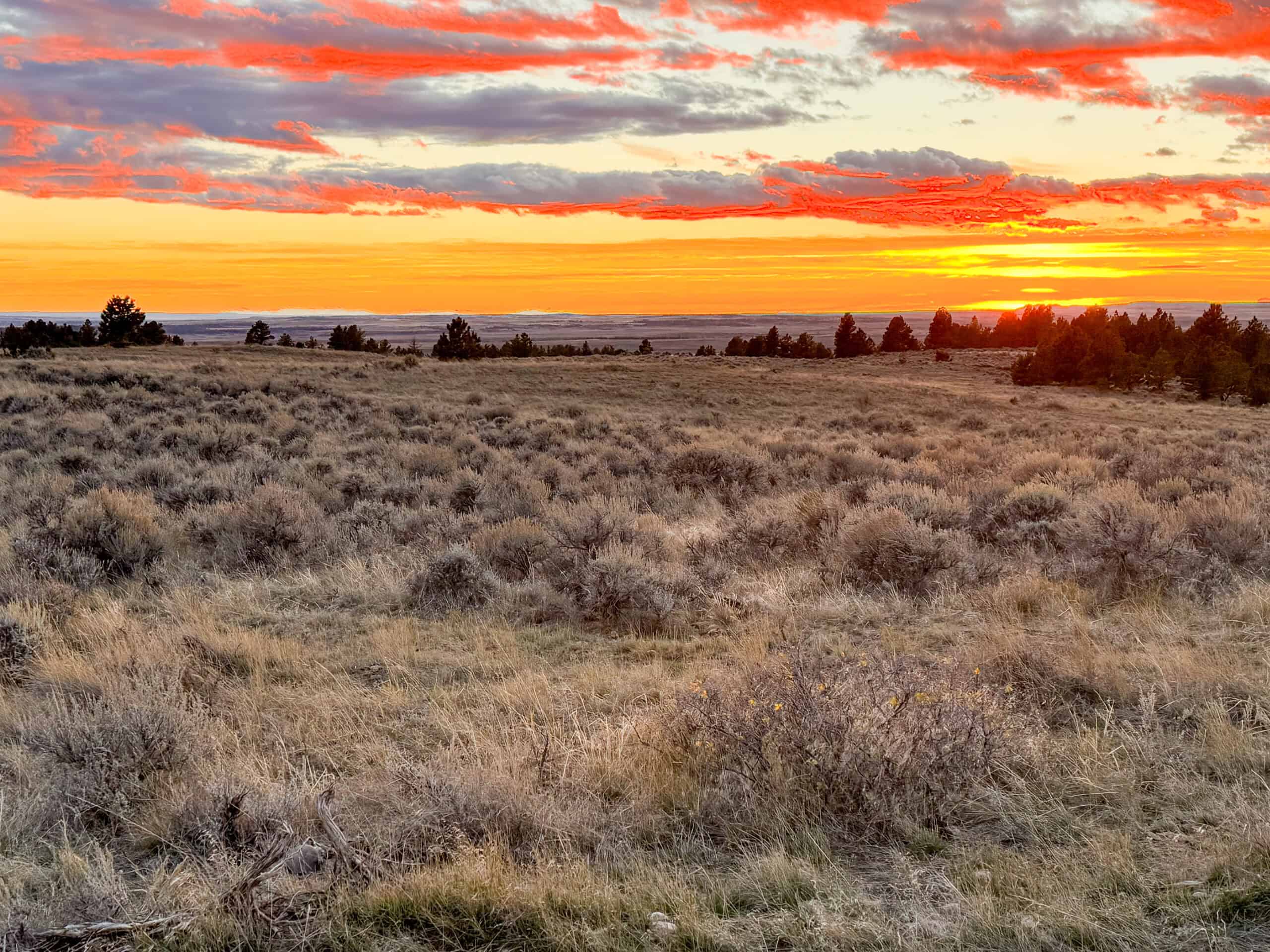 S Bar Ranch – 19,816± Acres North of Custer, Yellowstone County, Montana