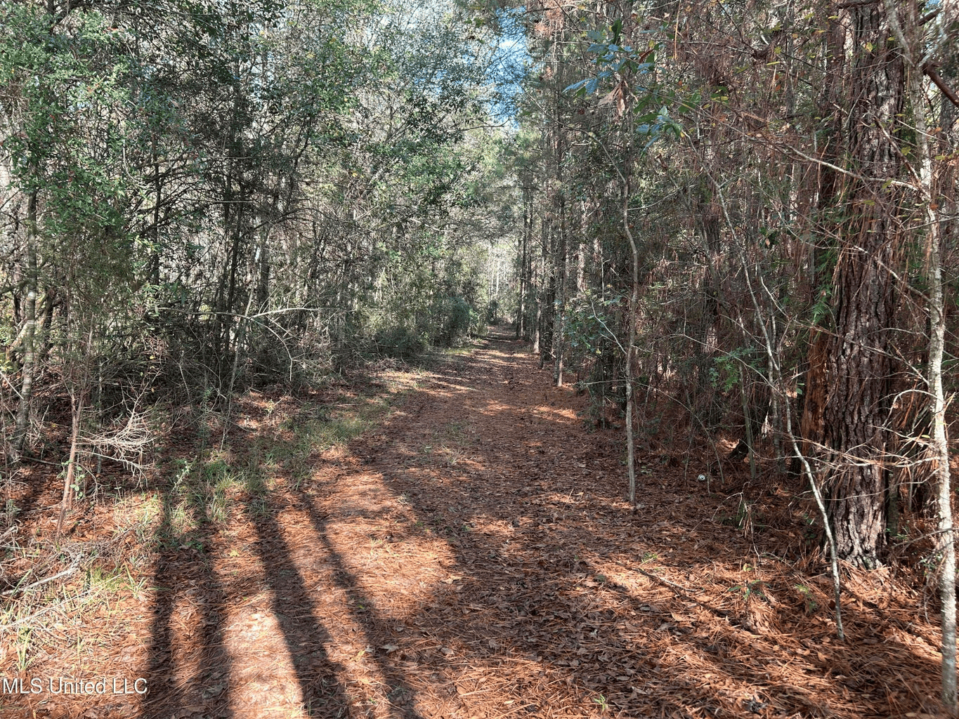 39.7 Acres in Brookhaven MS