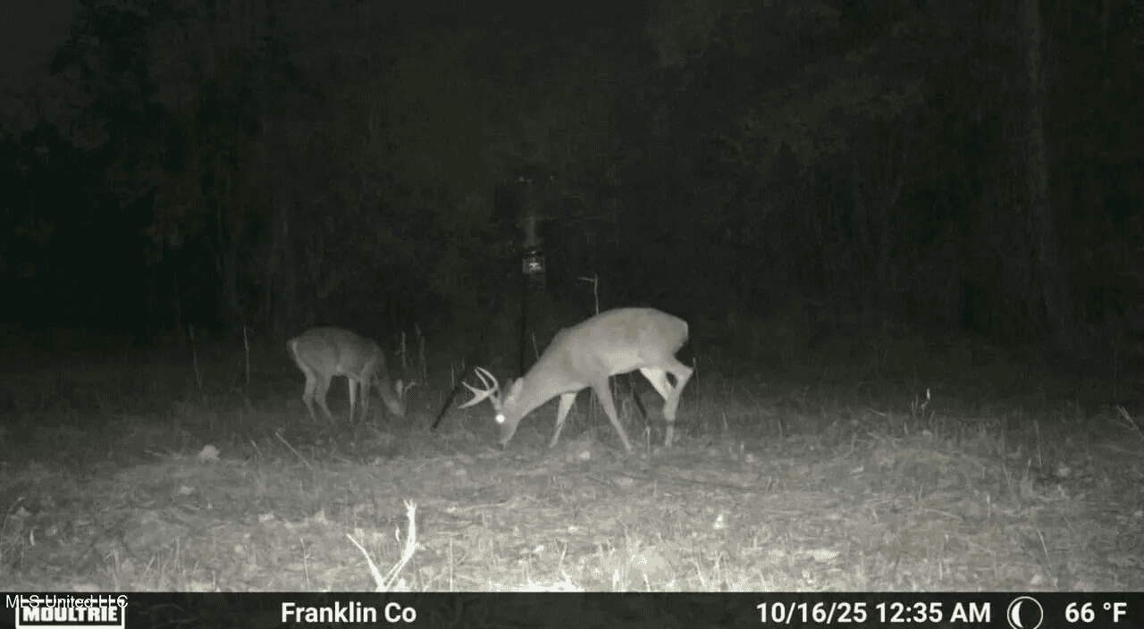 Roxie Mississippi – 94 Acre Recreational Retreat