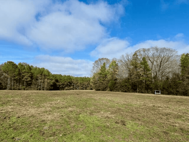 Timberland Farmland For Sale Clay County MS