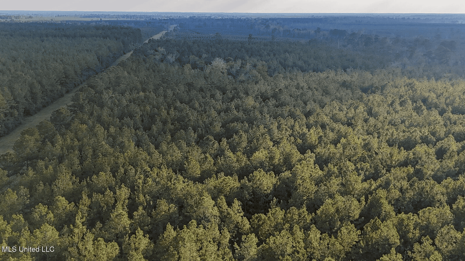 Prime Hunting Property in St Helena Parish, LA