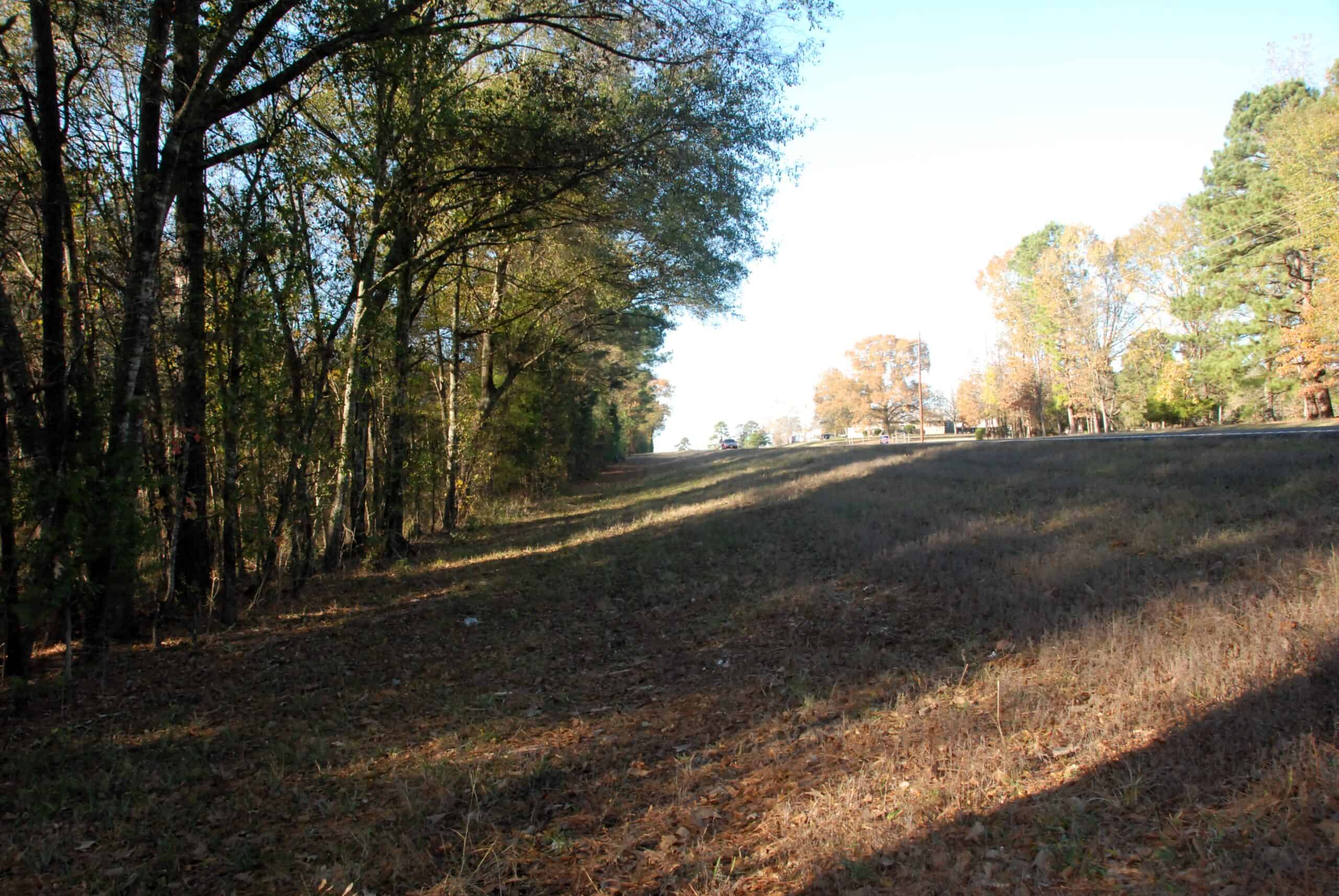 19.984 Acres East Texas Hunting Land near Hawkins TX Wood County