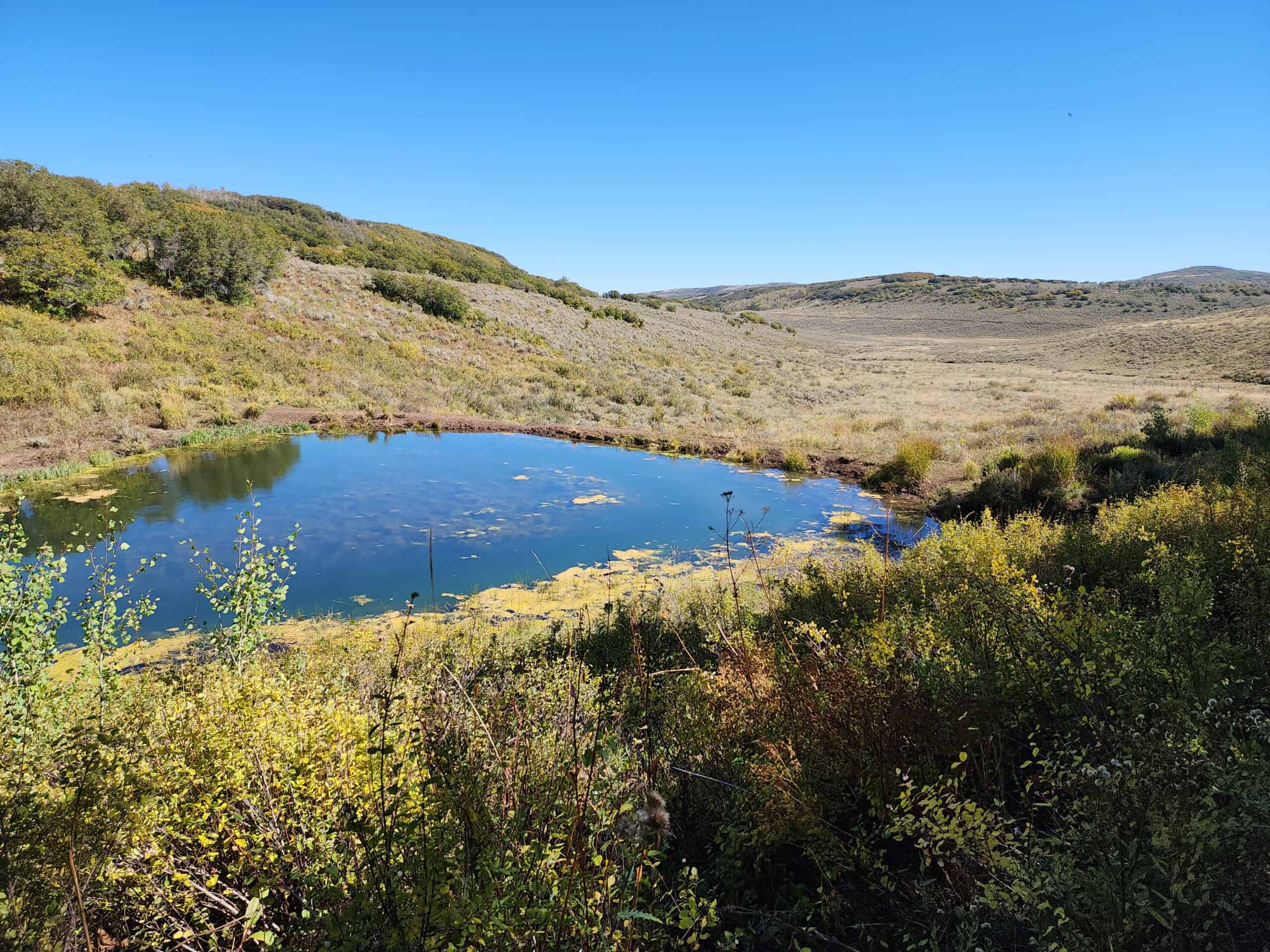 Colorado Hunting Property with Multiple Cabins