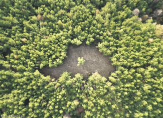 Wilkinson County 60-Acre Turn-Key Solar Hunting Camp