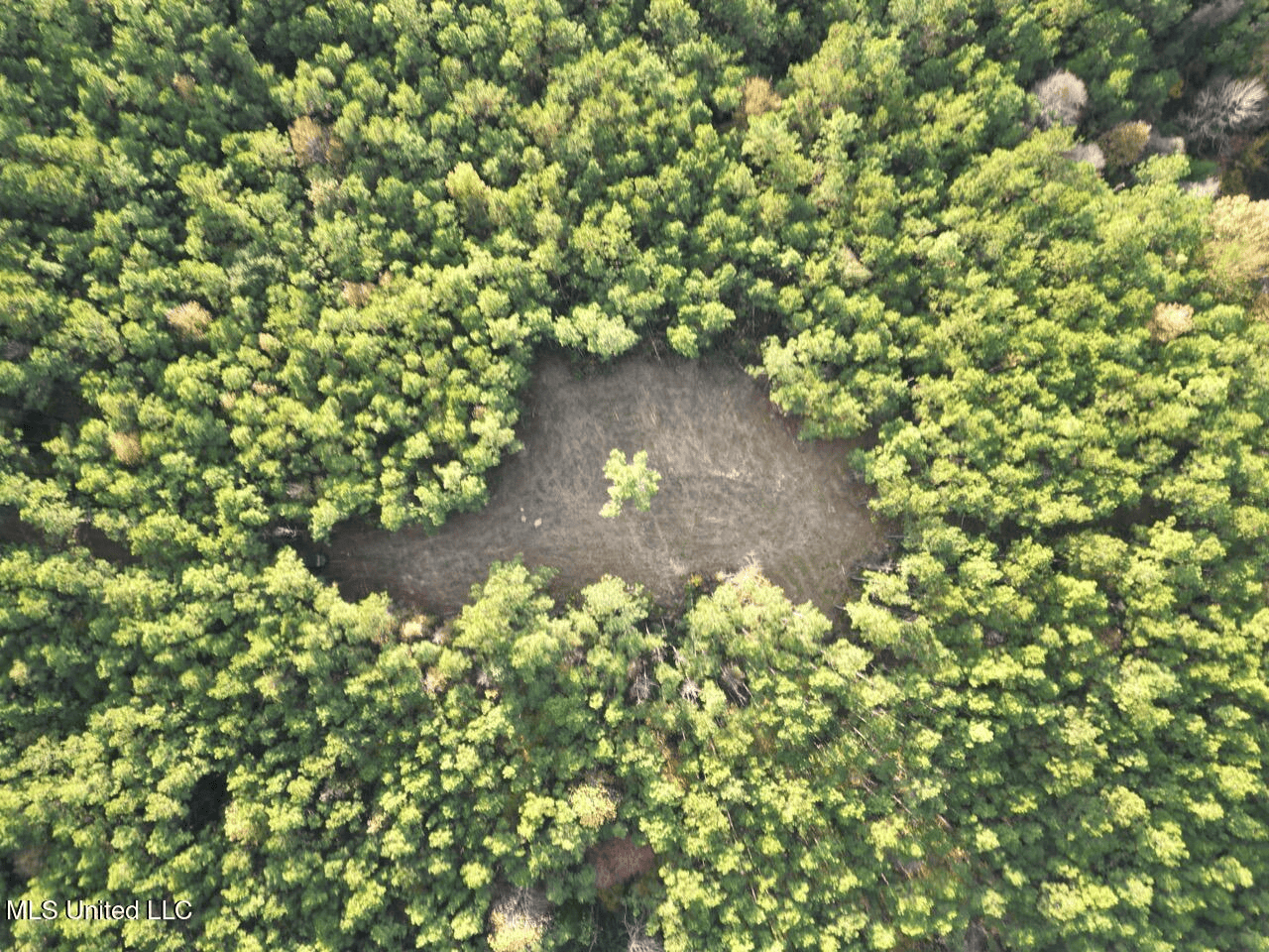 Wilkinson County 60-Acre Turn-Key Solar Hunting Camp