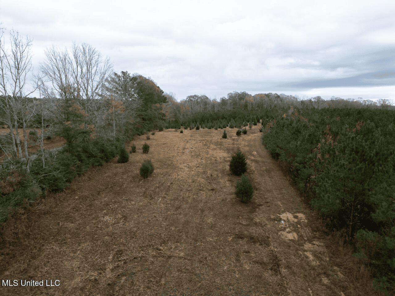 283± Acres for Sale Amite County, Mississippi