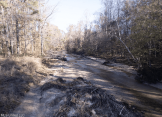 84.5 Acres in Woodville, MS on Hwy 24 with Creeks