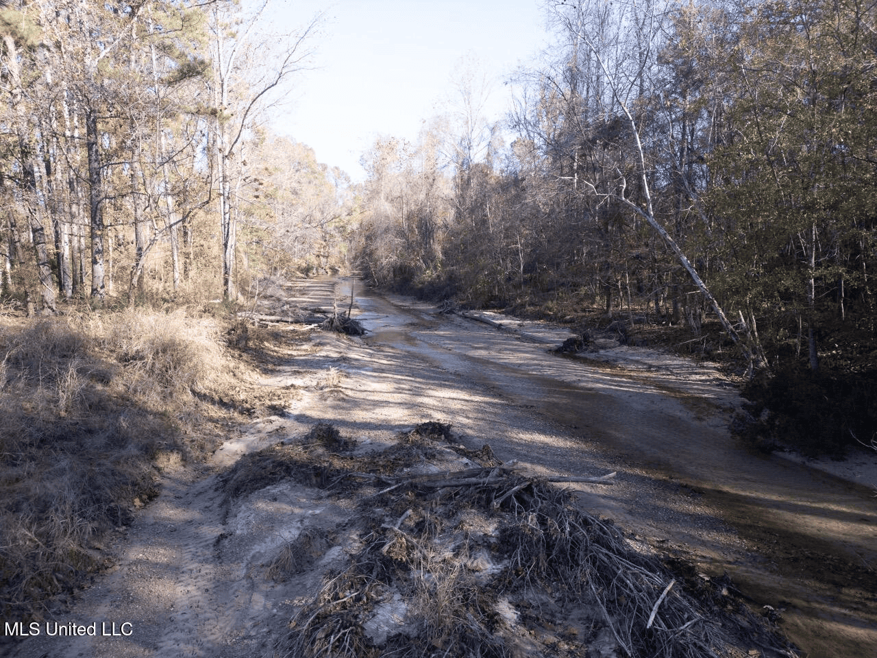 84.5 Acres in Woodville, MS on Hwy 24 with Creeks