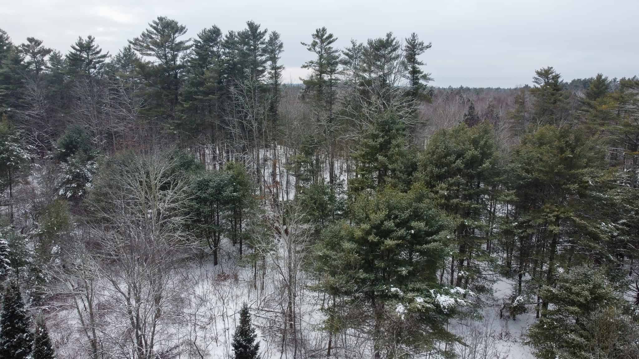 33.4 Acres with Private Pond – Pittston, ME