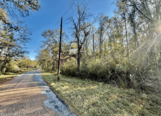 10 Acres Wooded Homesite & Hunting Tract in Smithdale, MS