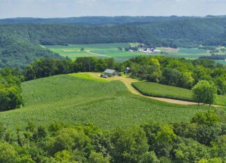 100 +/- Acre Ridge-Top Driftless Retreat in Crawford County WI