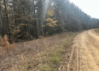 Hunting and Timberland w/ Homesite Potential Trout LA