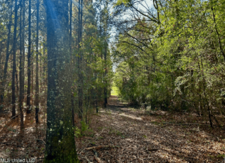 39.7 Acres in Brookhaven MS