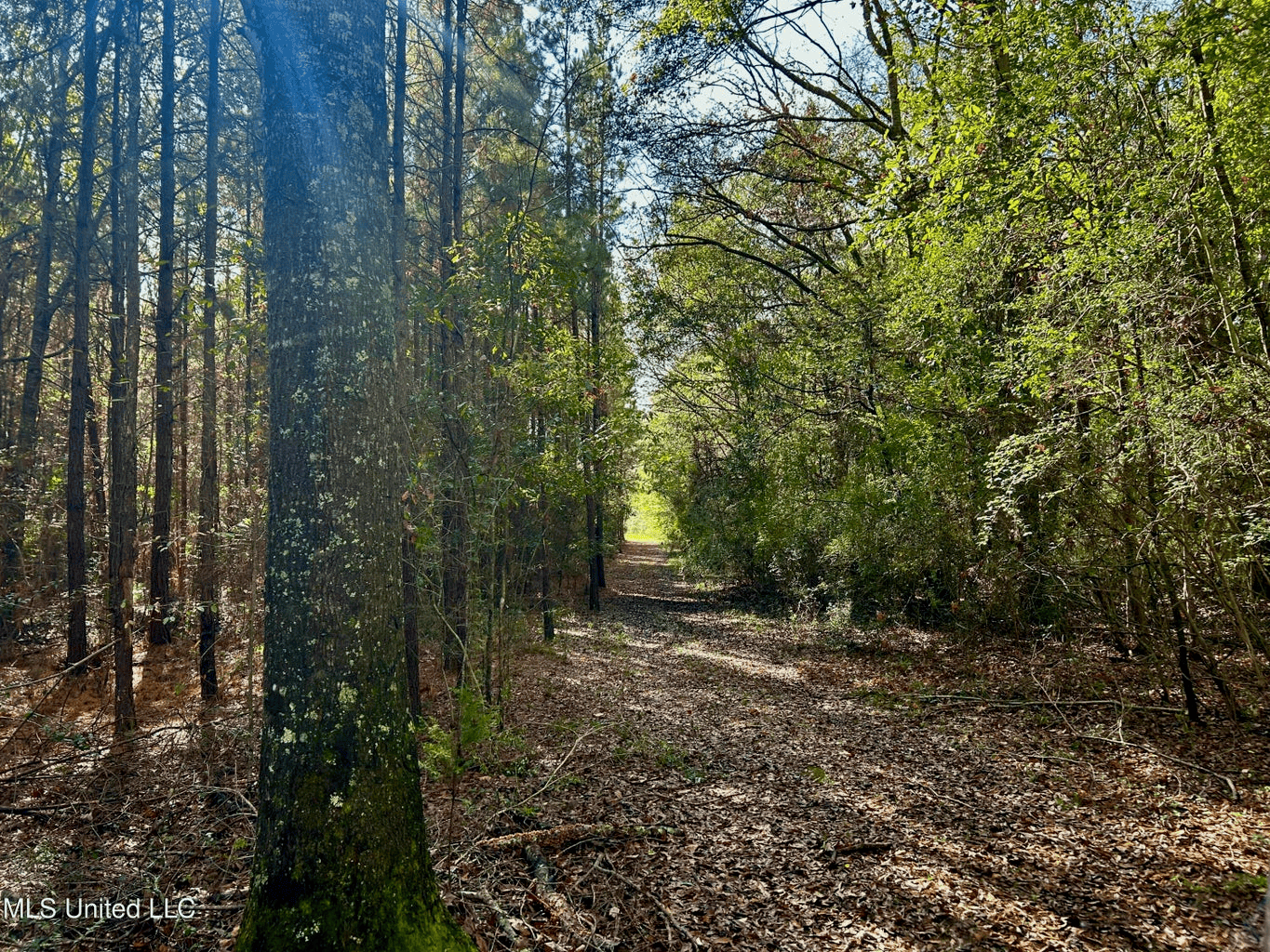 39.7 Acres in Brookhaven MS