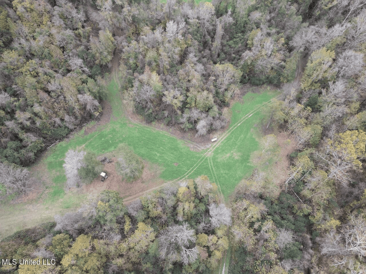 Woodville, MS – 40 Acres with Income-Producing Camp