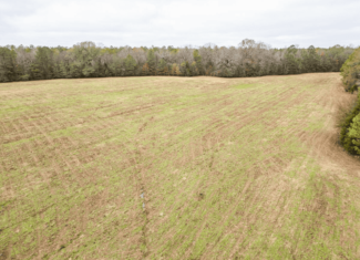 Timberland Farmland For Sale Clay County MS