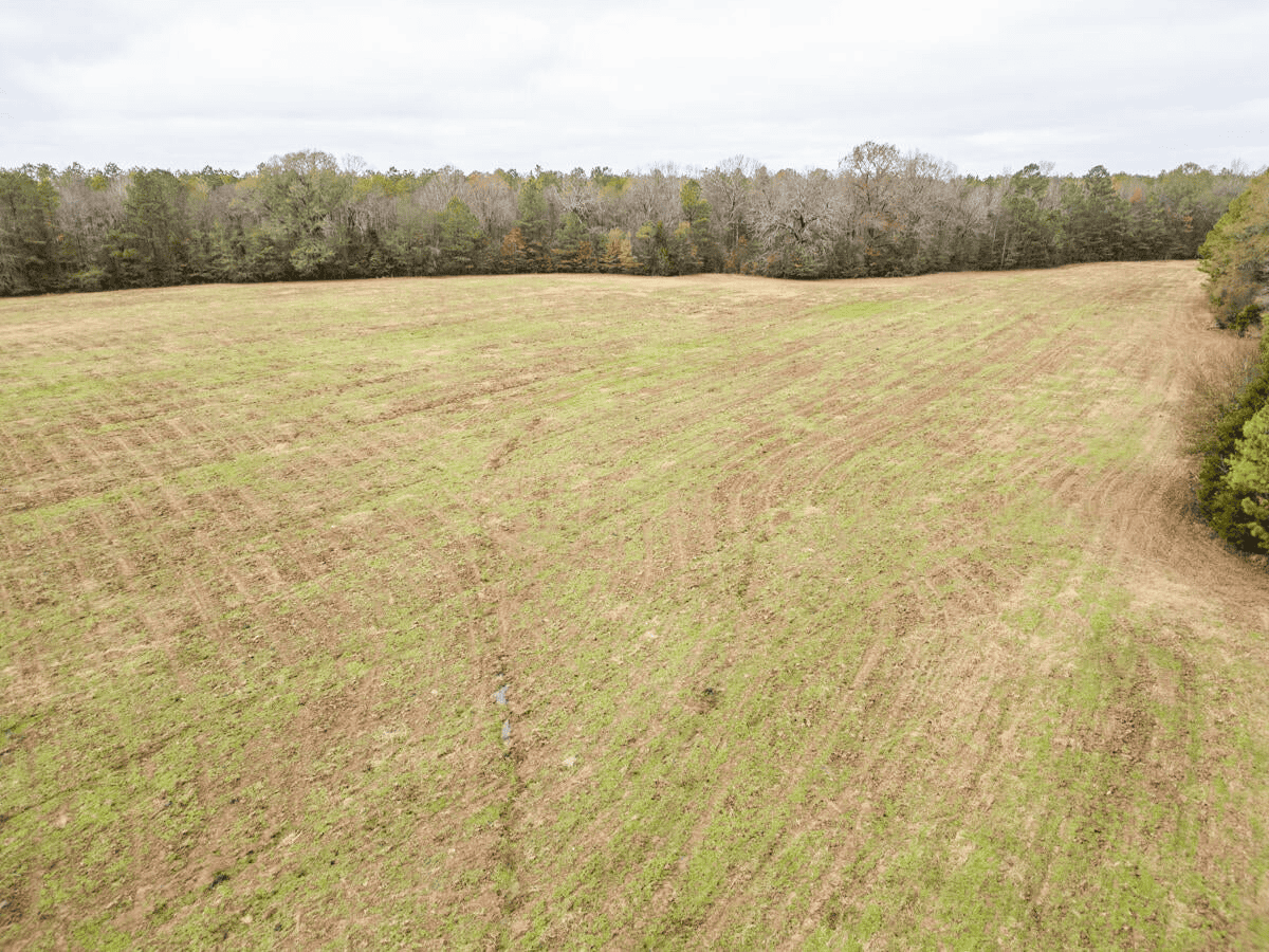 Timberland Farmland For Sale Clay County MS